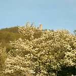 Schlossblick *